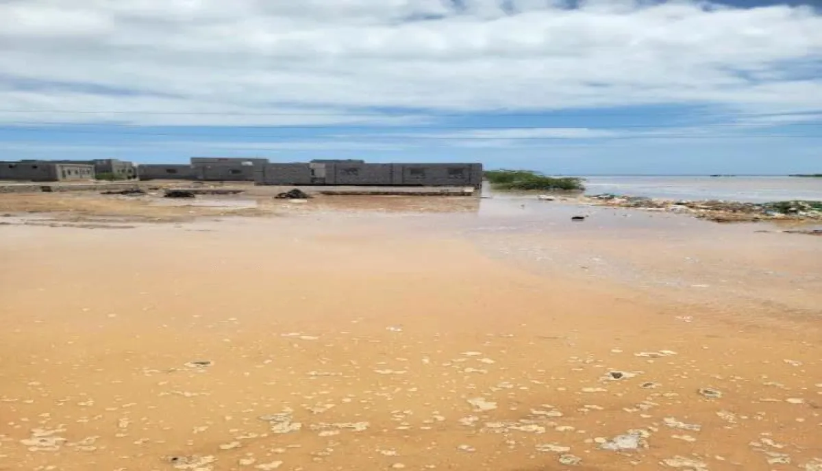 شقرة تستغيث: سيول مفاجئة تعزل المدينة وتهدد السكان