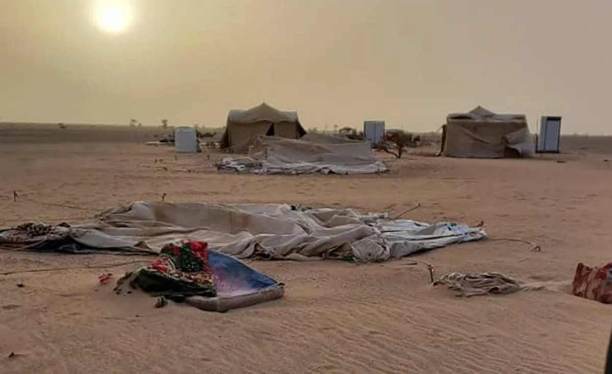 الجوف: تضرر 1370 أسرة نازحة جراء العواصف والمنخفض الجوي