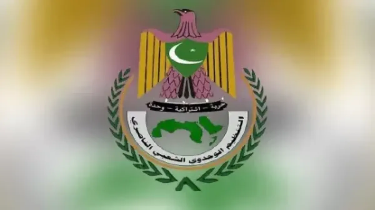 الناصري في تعز يحمّل الجهات الأمنية مسؤولية الانفلات ويدعو لتحرك عاجل