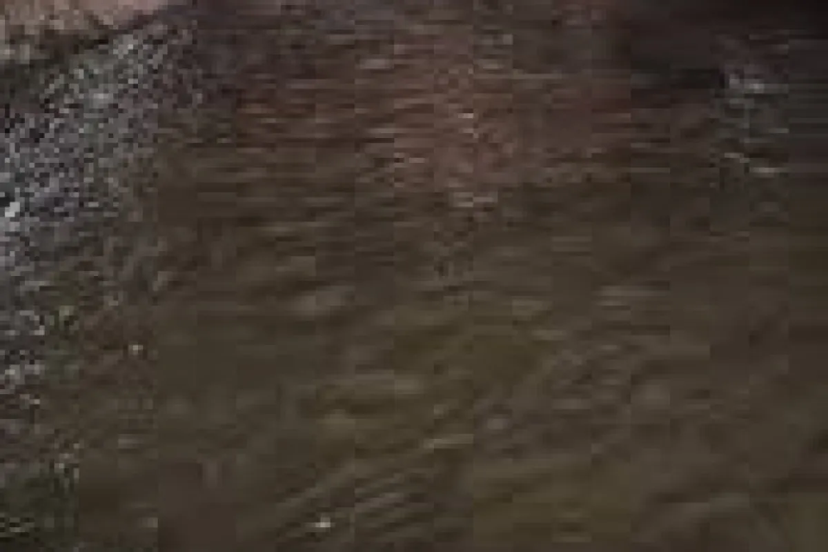 عاجل وخطير.. سيول مفاجئة تتجه نحو (لحج وعدن) تحذيرات للسكان (صور)