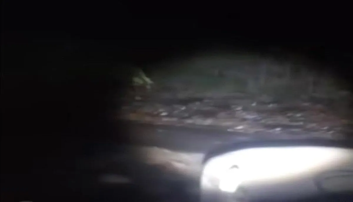 عاجل: سيول عارمة تزحف نحو لحج وعدن… إنذار عاجل لسكان مسارات الأودية