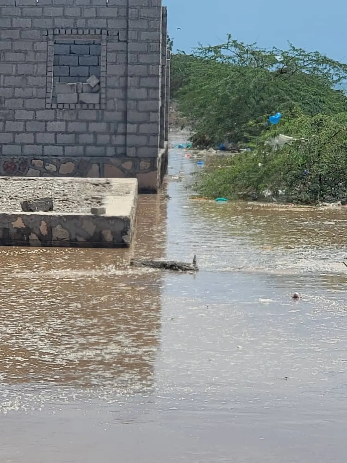 مناشدة عاجلة لإنقاذ شقرة من مخاطر السيول