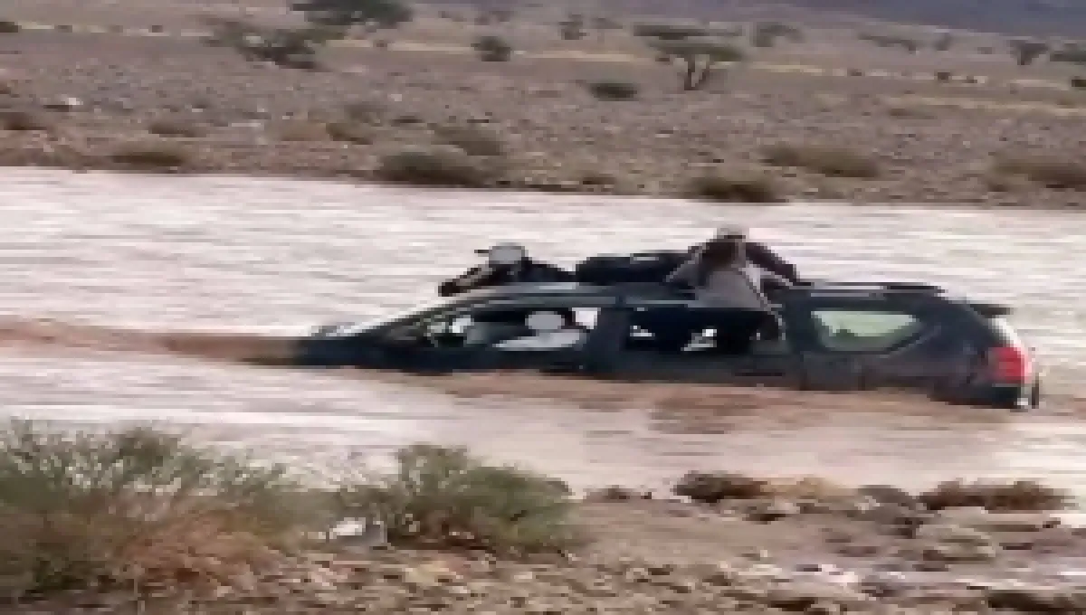 العليمي يطلع على أضرار الأمطار والسيول وجهود مساعدة المتضررين في تعز والحديدة