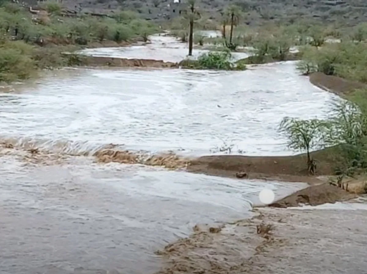 ارتفاع ضحايا السيول في تعز إلى 17 شخصًا ودمار واسع في المناطق المتضررة