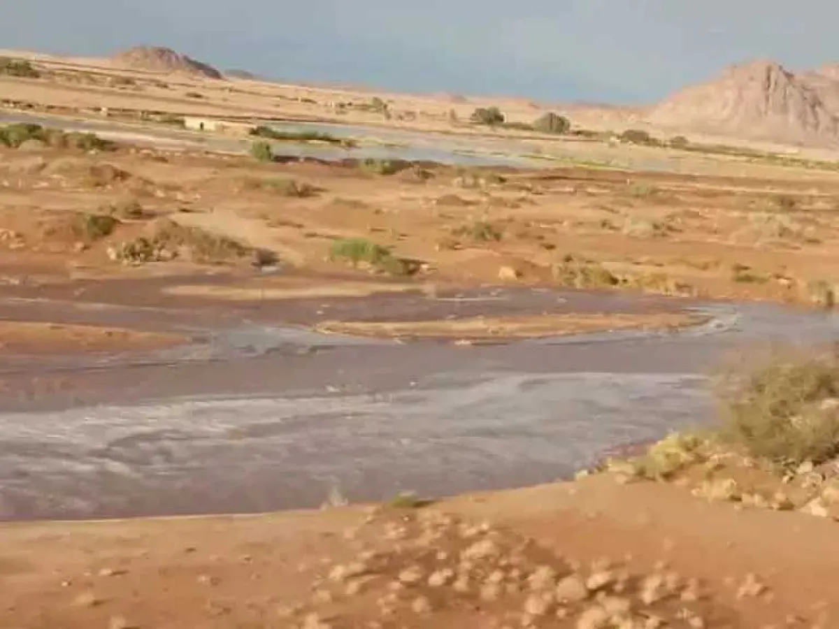 اشتباكات مسلحة بين قبيلتَي آل أبو عشال وآل دريب - الإشراف في محافظة الجوف