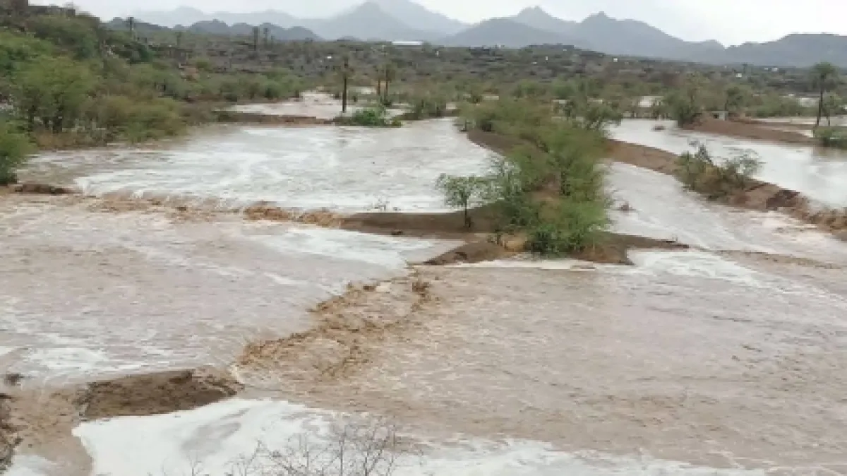 اليمن: "الفاو" تتوقع تضرر 409 آلاف هكتار من الأراضي الزراعية و1.7 مليون رأس ماشية جراء الفيضانات