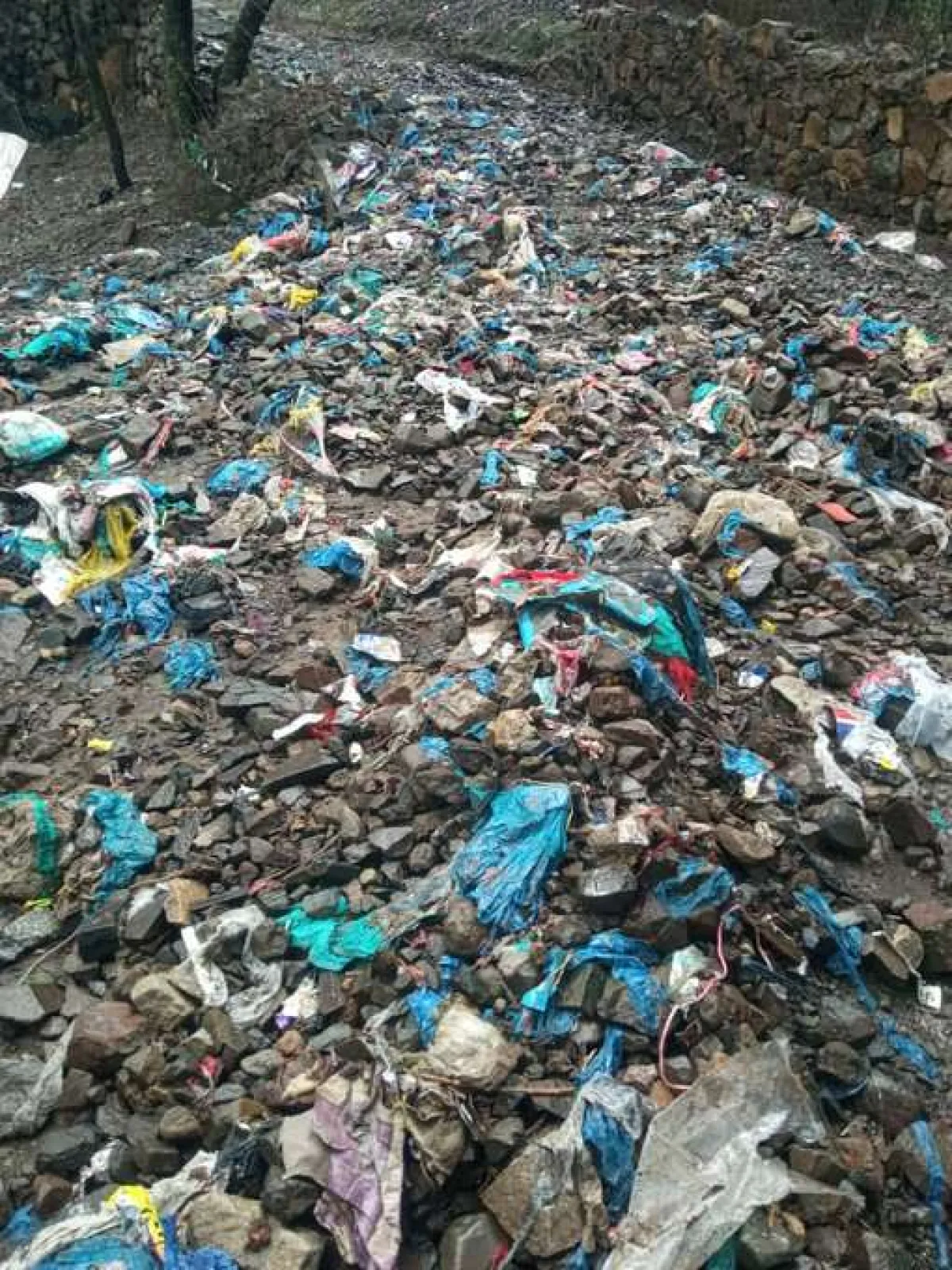 الأكياس البلاستيكية تتحول إلى كارثة خفية تهدد الأراضي الزراعية