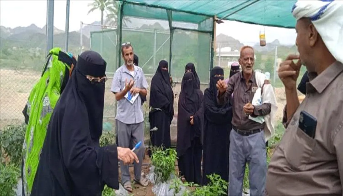 مشروع البيوت الزراعية في طور الباحة يمكّن 152 أسرة ويعزز الأمن الغذائي"