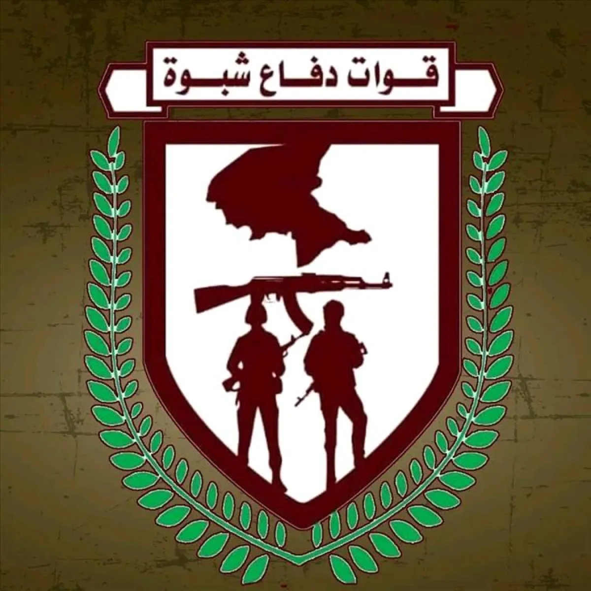 اللواء السادس دفاع شبوة يُسقط طائرة مسيّرة حوثية إيرانية الصنع أثناء مهمة عدائية