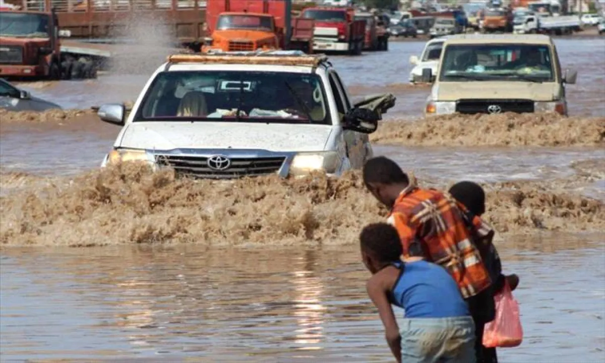 تحذيرات أممية من تهديدات واسعة للزراعة والثروة الحيوانية في اليمن مع موسم الأمطار