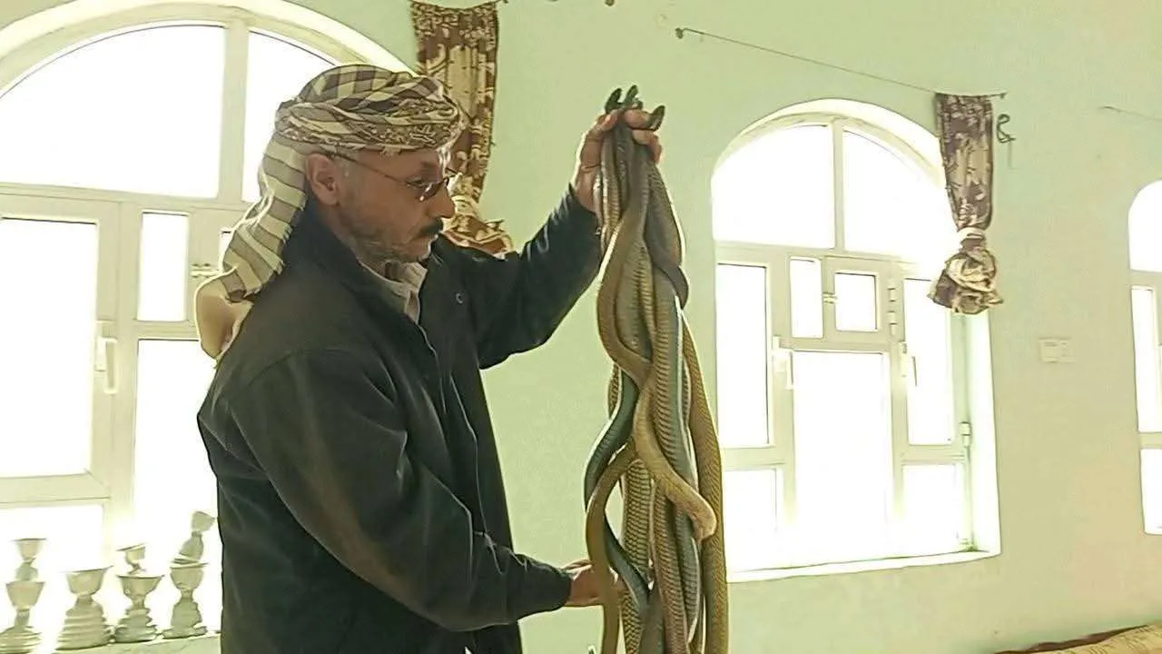 خبير يحذر من تزايد الثعابين ويدعو للحذر