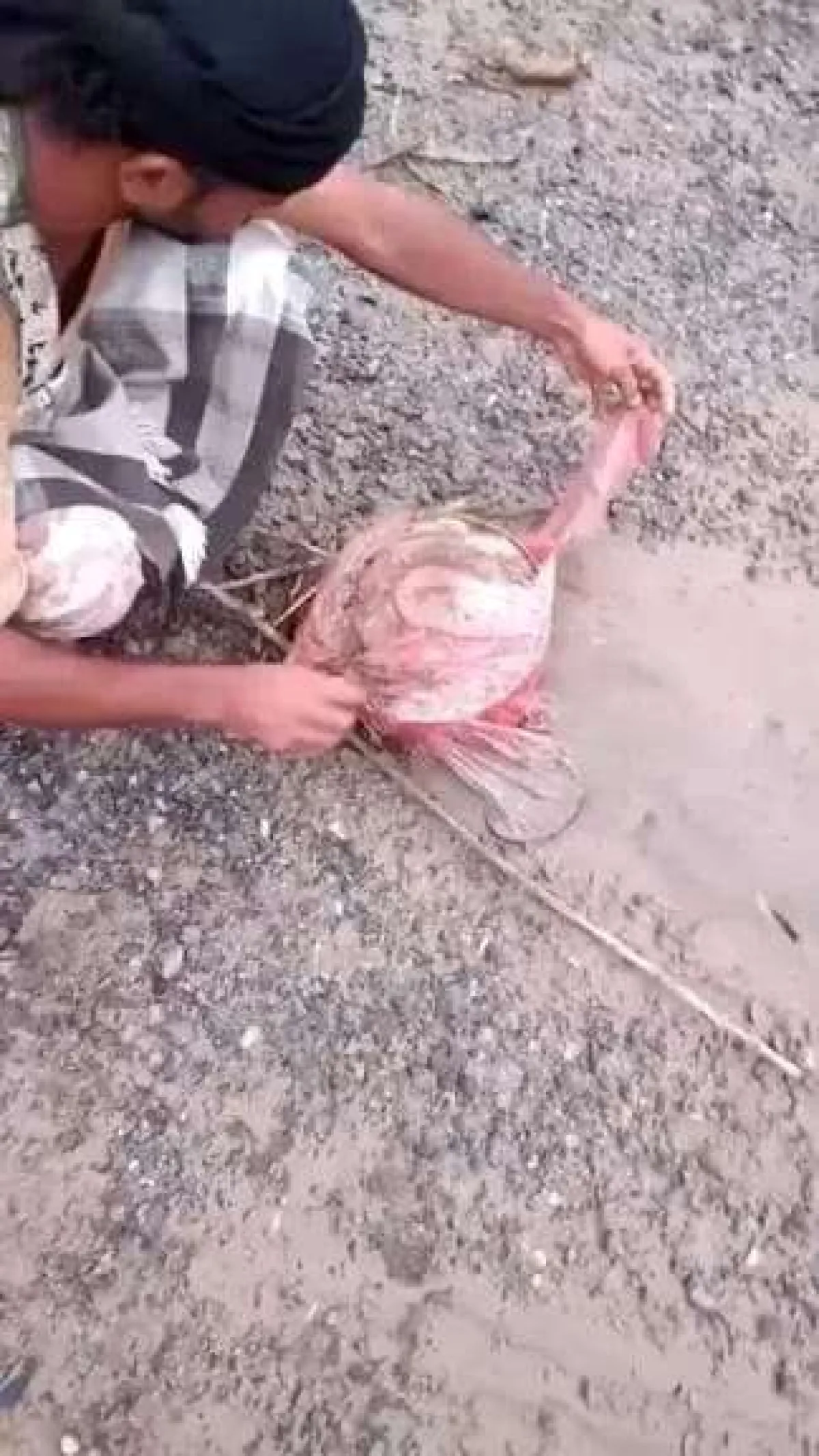 ألغام منجرفة بالسيول تهدد حياة المدنيين