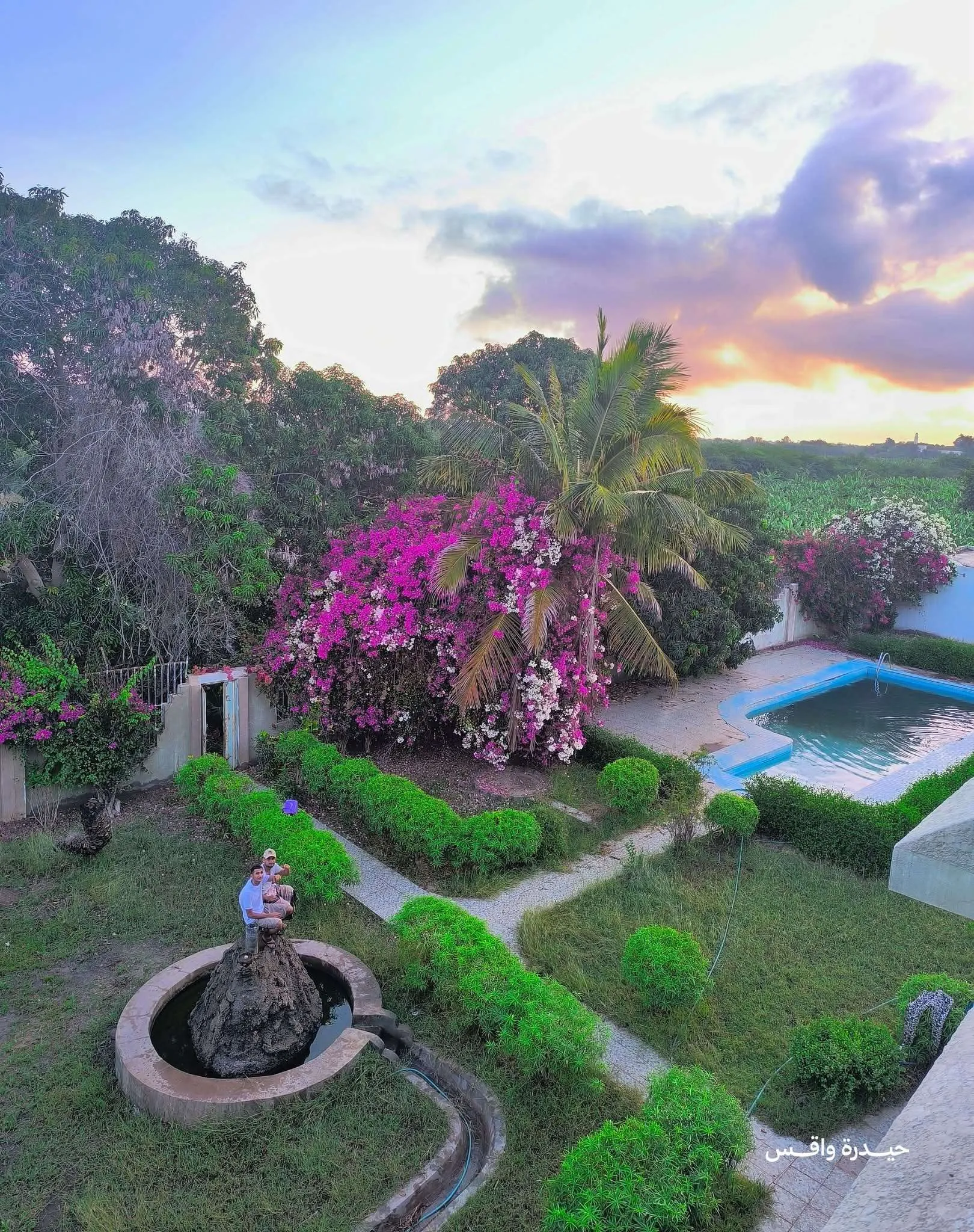 شاهد صورة تثير تفاعل واسع في ابين