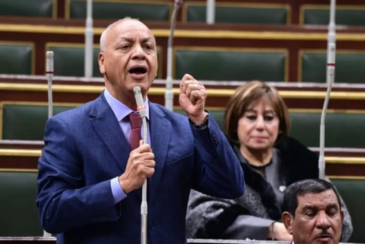 نائب مصري يهدد الحوثي بـ”عدم الصمت” في حال إغلاق باب المندب