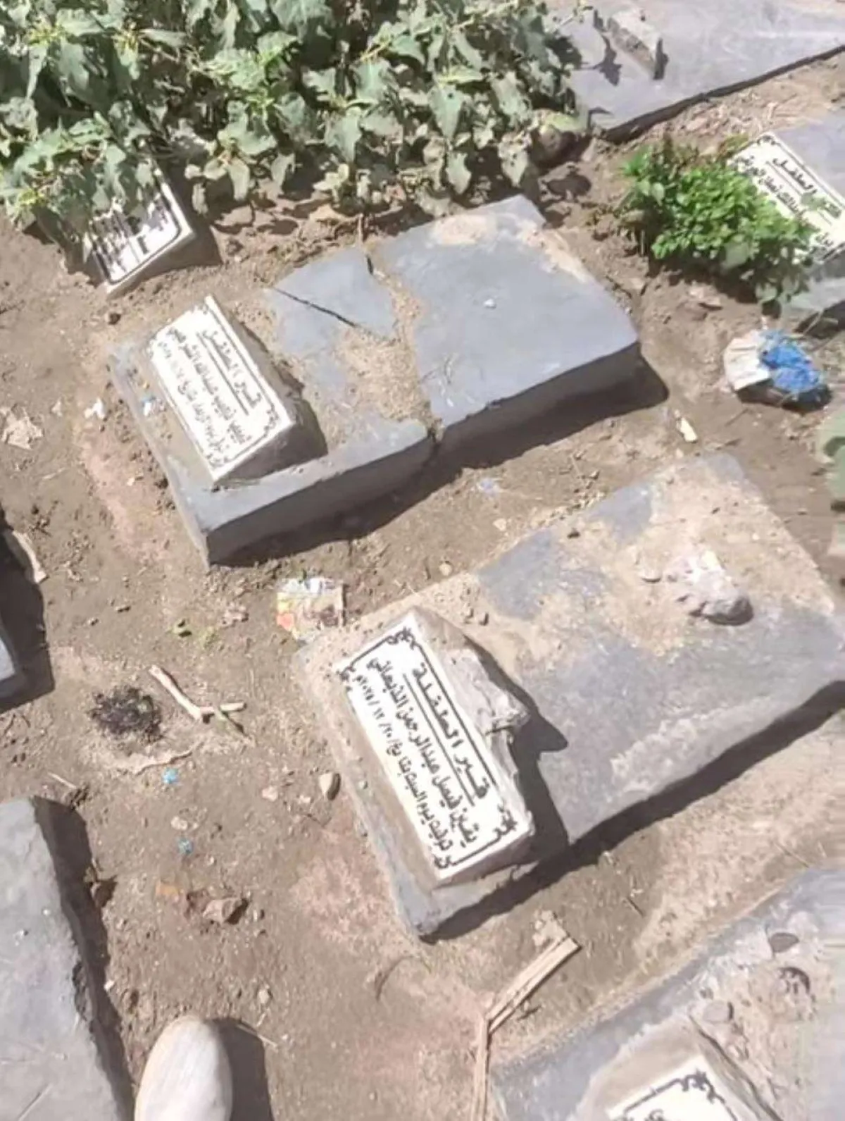 اختفاء قبور الأطفال في مقبرة السعيد