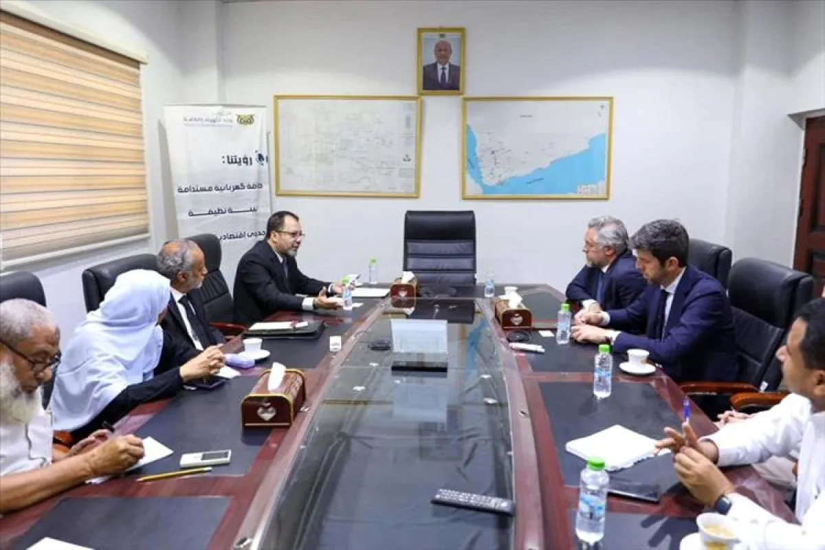 وزير الكهرباء يبحث مع نائب رئيس البنك الدولي تعزيز التعاون المشترك