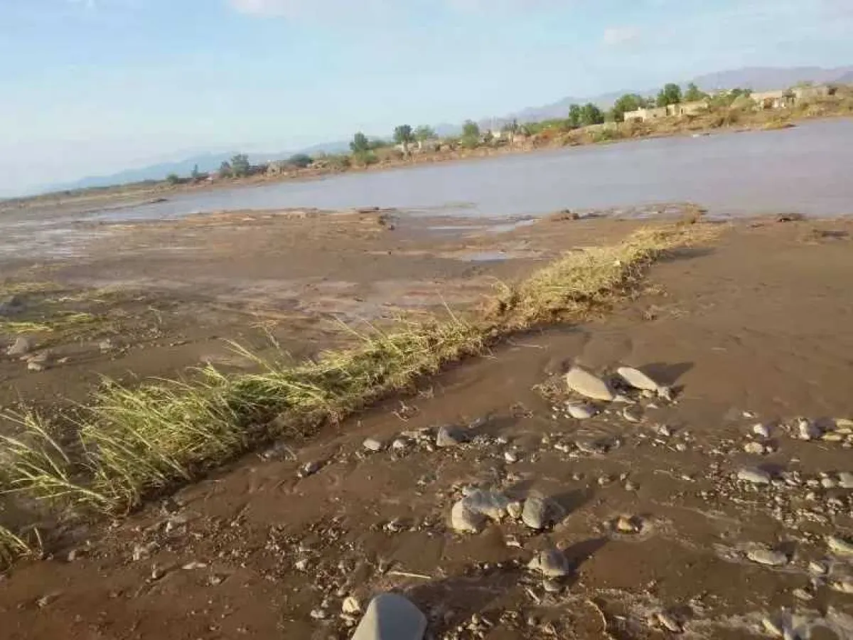 جريمة مروعة بإطلاق نار تهز  إب ومتهم هارب يثير غضباً شعبياً