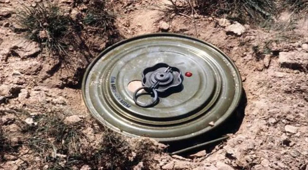 "مسام" ينتزع أكثر من 1200 لغم وذخيرة من مخلفات الحوثيين خلال أسبوع