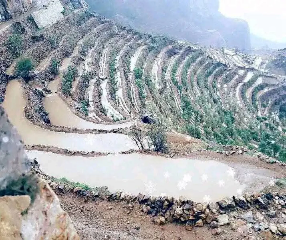 الأرصاد الجوي يتوقع أمطاراً متفرقة ورعدية بأجزاء من السواحل والمرتفعات الجبلية