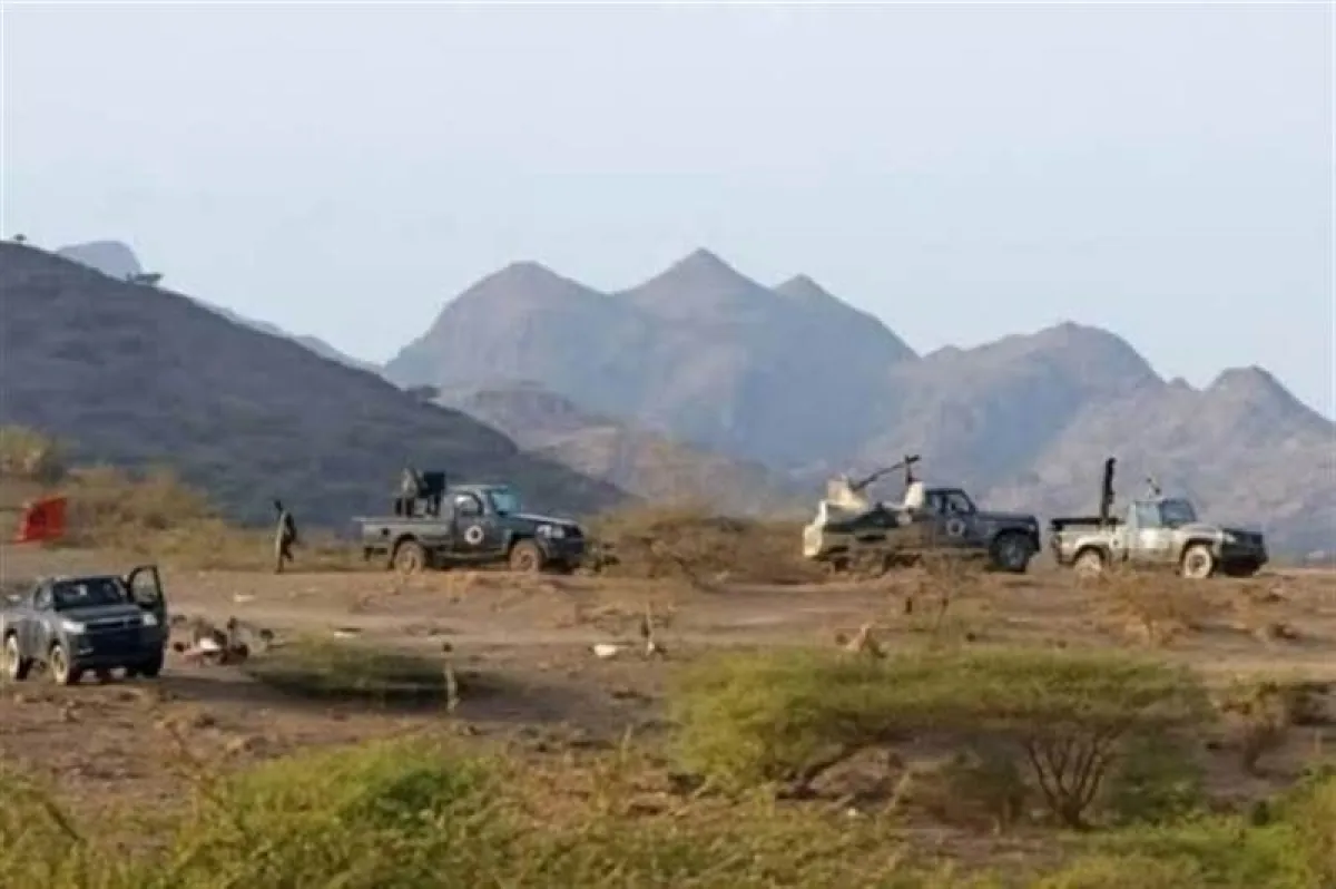 العليمي يوجّه طارق صالح بسحب قواته من الوازعية بعد تصعيد دامٍ واستهداف منازل المدنيين