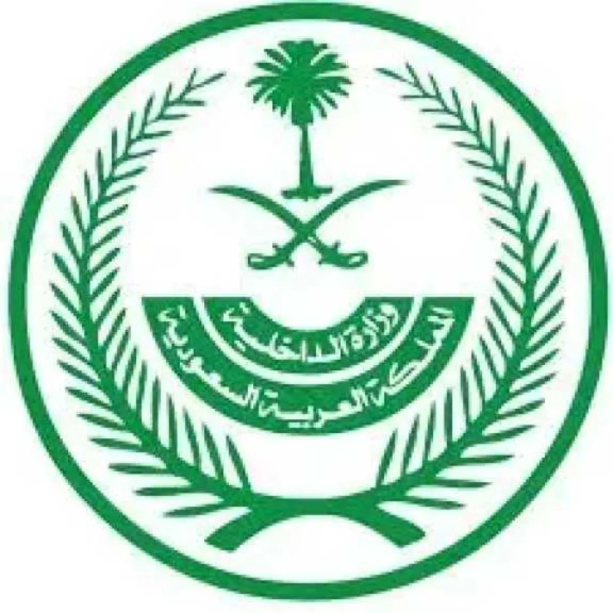 الداخلية السعودية تنفذ حكم القتل تعزيرًا بحق 7 جناة في الرياض وتكشف جنسيتهم وجُرمهم