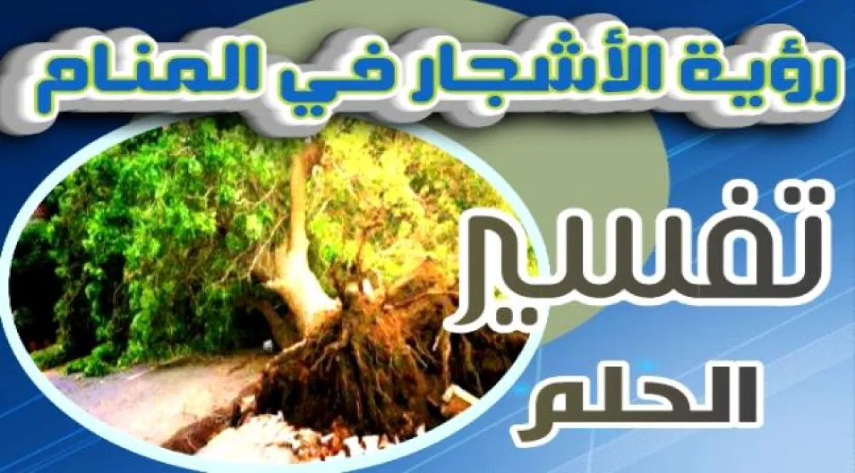 رؤية « الأشجار » في المنام.. تفسير حلم سقوط شجرة أو قطعها