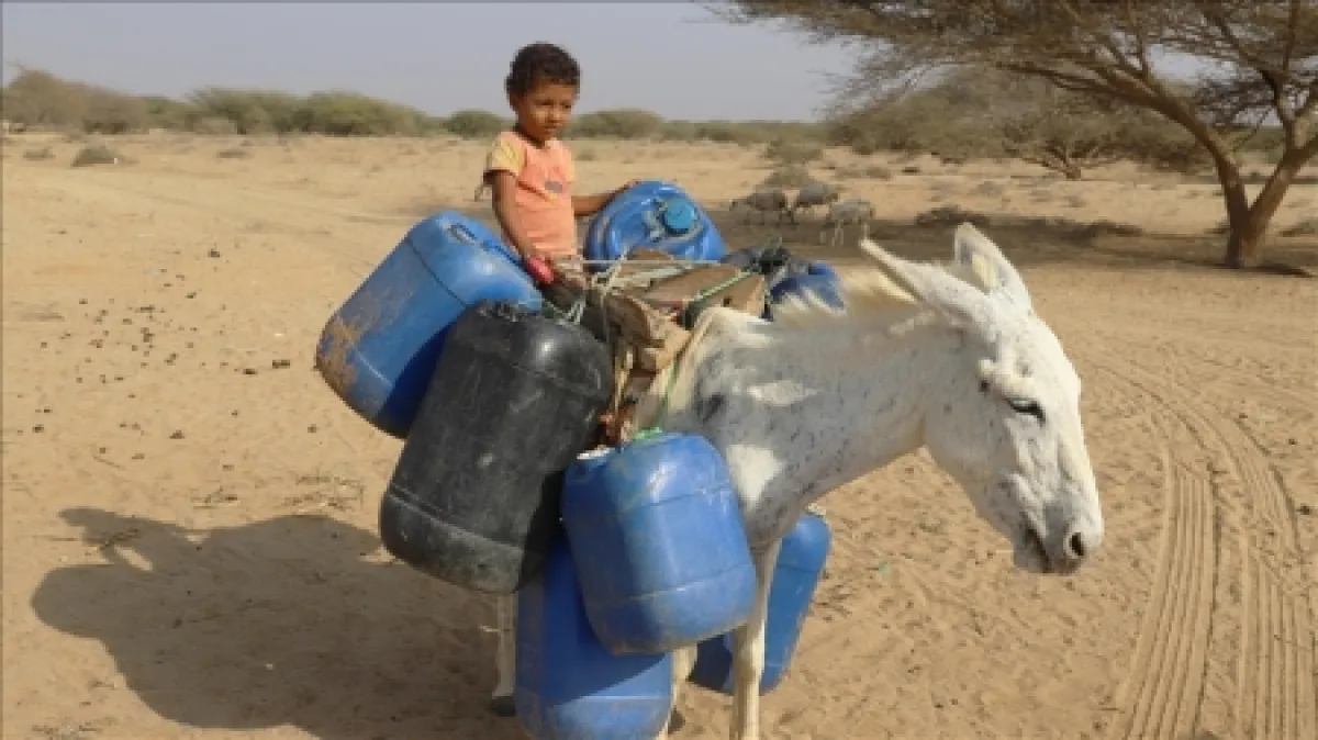 اليمن: توقيع اتفاقية لتحسين خدمات المياه والصرف الصحي في عبس بحجة بتمويل أممي قطري مشترك