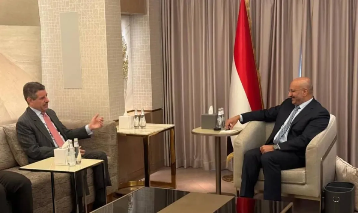طارق صالح للسفير الأمريكي: استقرار البحر الأحمر مرهون بتمكين الدولة اليمنية