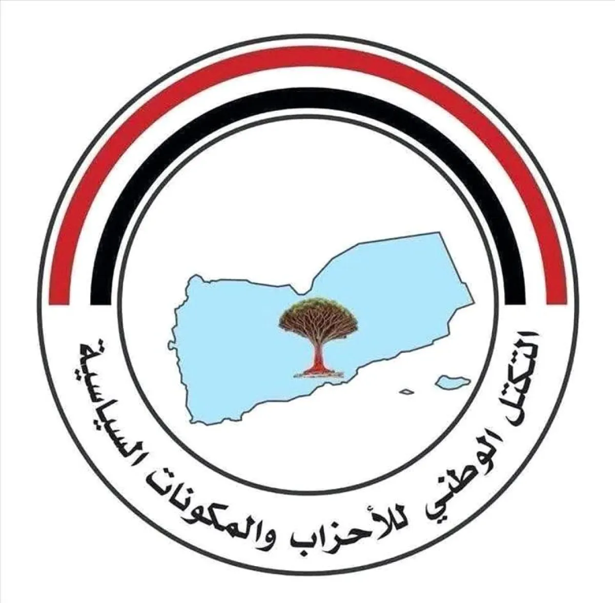 التكتل الوطني يطلق ورشة عمل حول الحوار الجنوبي– الجنوبي بدعم المعهد الوطني الديمقراطي ( NDI )