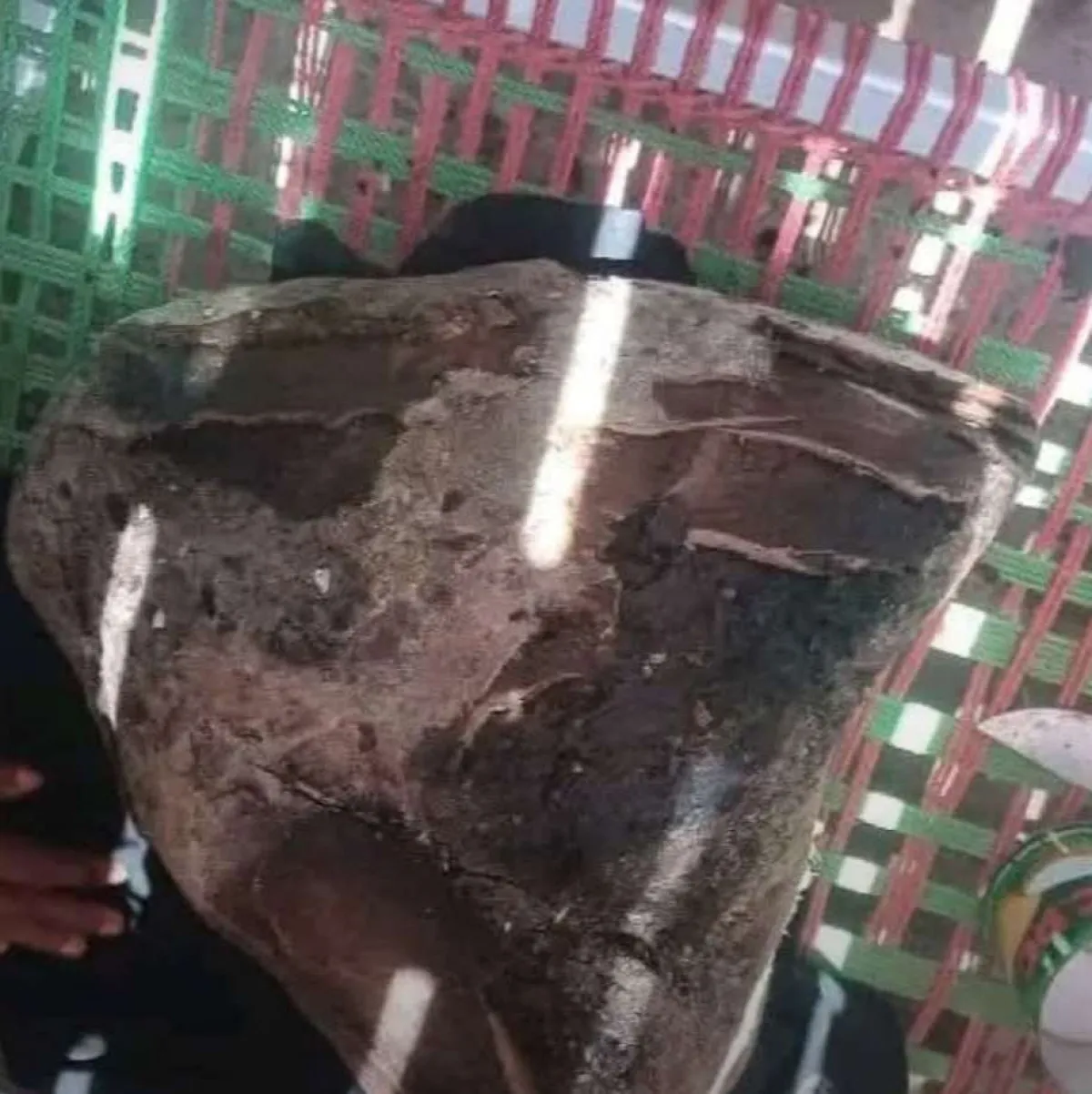 العثور على هذا الأمر في سواحل لحج