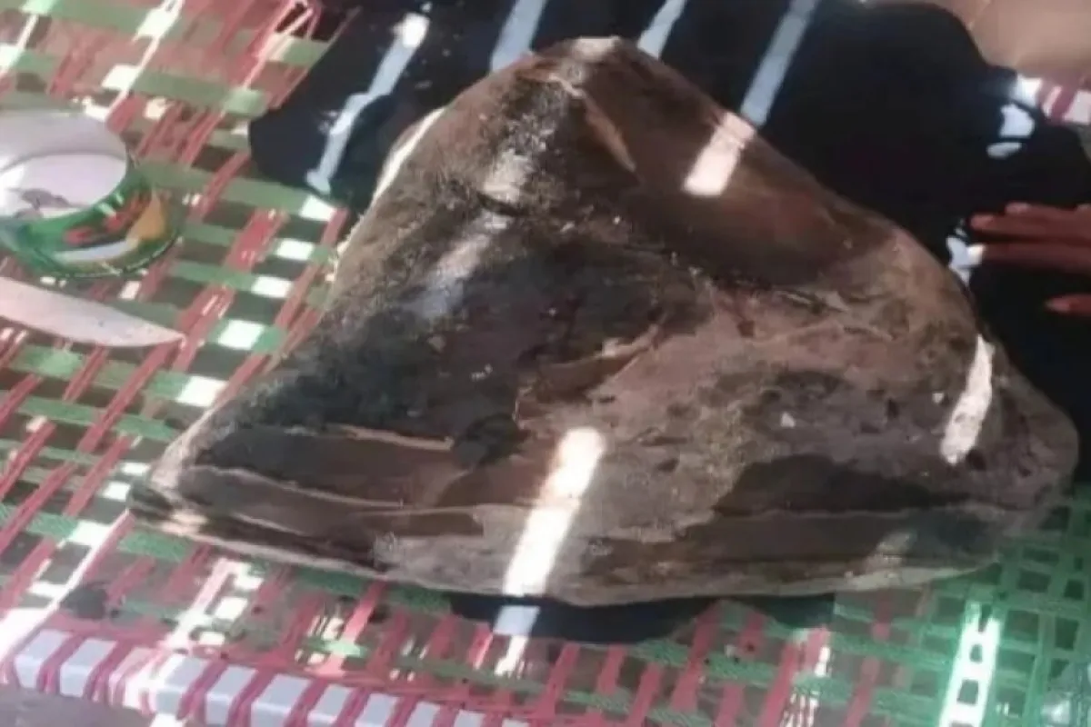 صياد يمني عثر على عنبر نادر يقدر بـ700 ألف ريال بضربة حظ .. تفاصيل