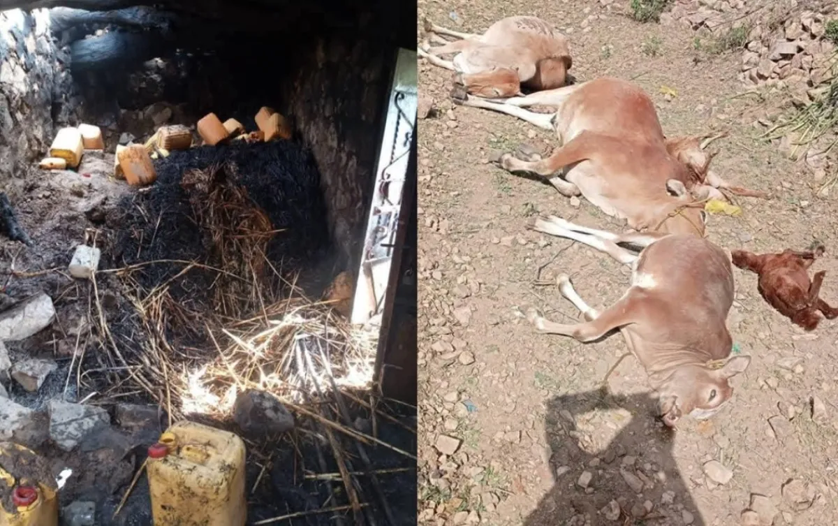 انفجار “بطارية” يحرق منزلاً في “صبر الموادم” بتعز ويخلف خسائر مادية فادحة