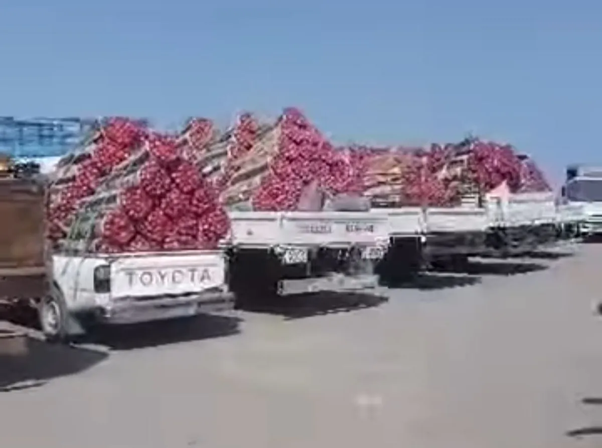 المهرة.. جمرك شحن يوضح حقيقة فرض غرامات على مصدري البصل
