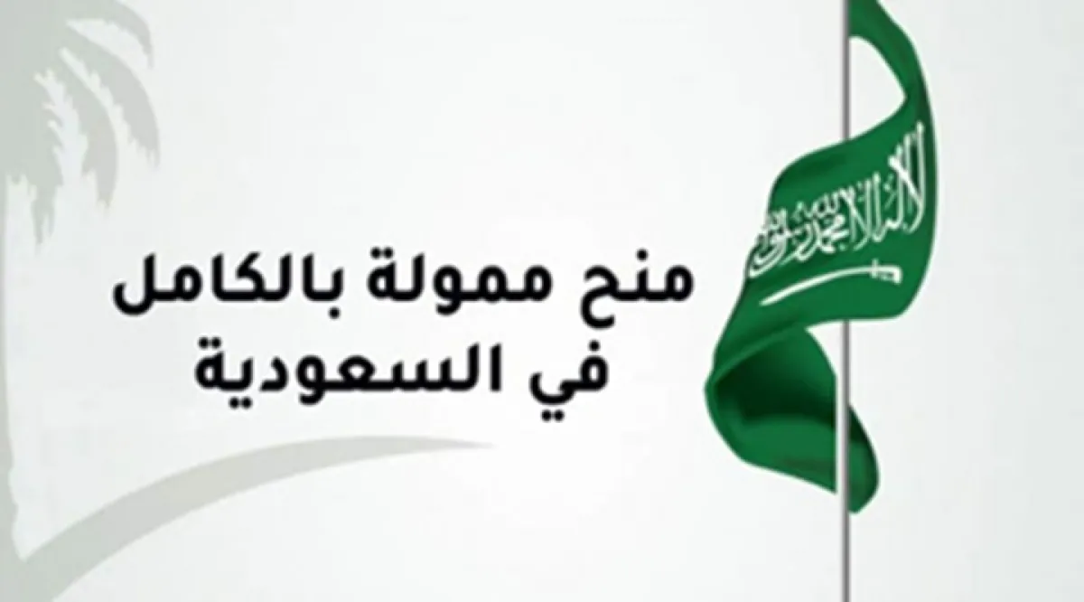 وزارة التعليم اليمنية تعلن فتح باب التسجيل للمنح الدراسية في السعودية - [رابط التقديم]