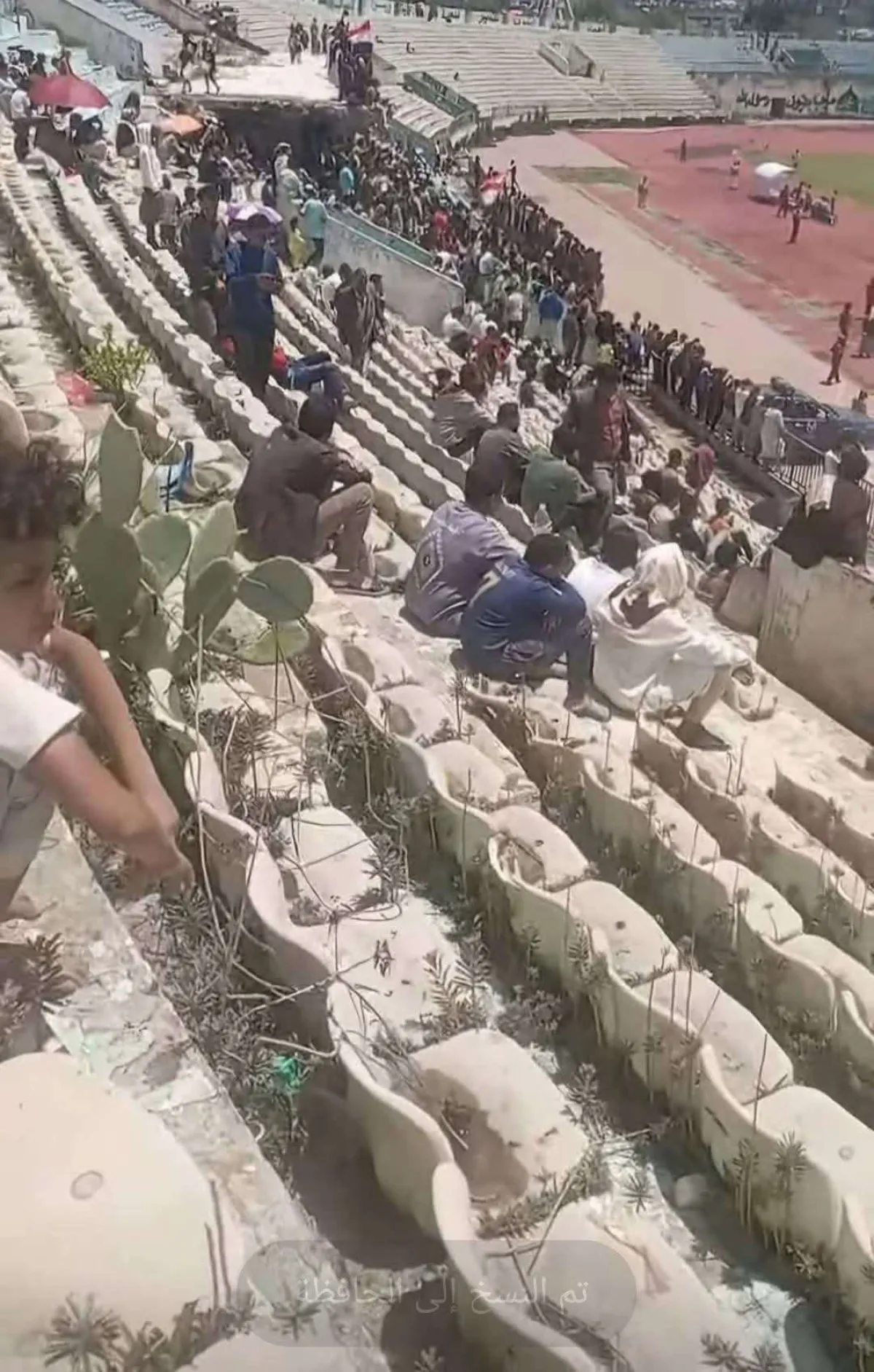 إهمال كارثي يحول مقاعد ملعب  إلى مزارع للأشواك