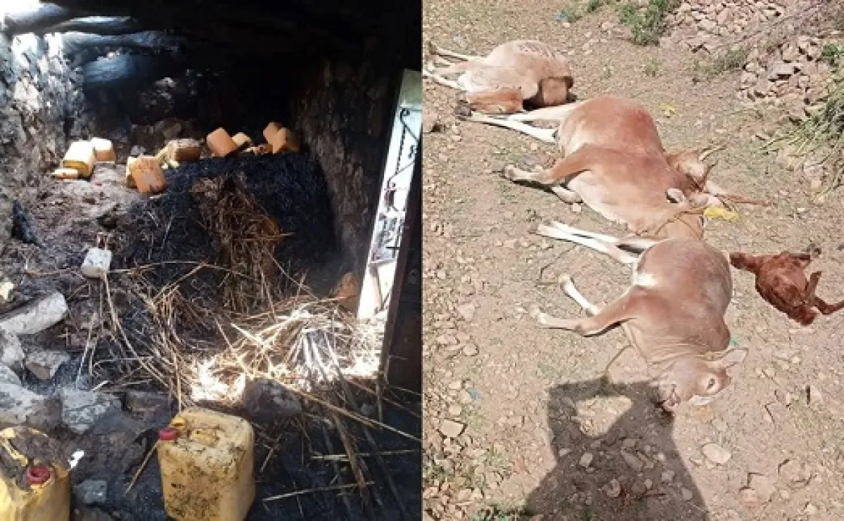 تعز: انفجار بطارية يتسبب باحتراق منزل ونفوق عدد من المواشي 