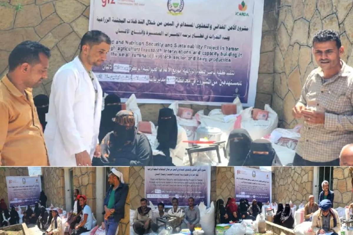 تعز.. توزيع أعلاف ووحدات ألبان لدعم مربي الماشية وتعزيز الأمن الغذائي في ثلاث مديريات