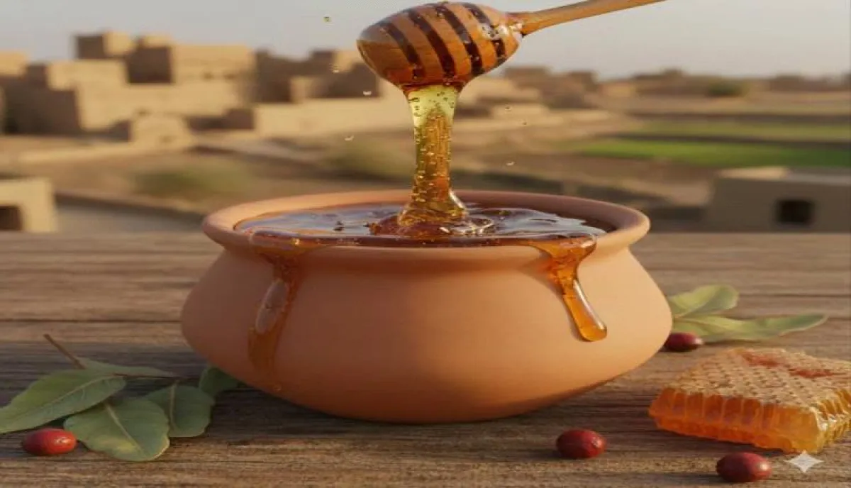 العسل اليمني تحت ضغط الحرب… ثروة ذهبية مهددة بين الانهيار والإمكانات الضائعة