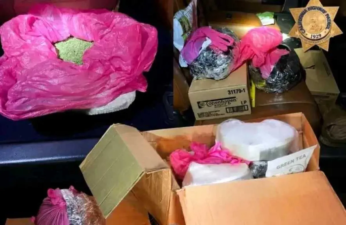 السلطات الأمريكية توقف مواطنًا يمنيًا تمهيدًا لترحيله بعد ضبطه بحوزة نبتة القات في كاليفورنيا