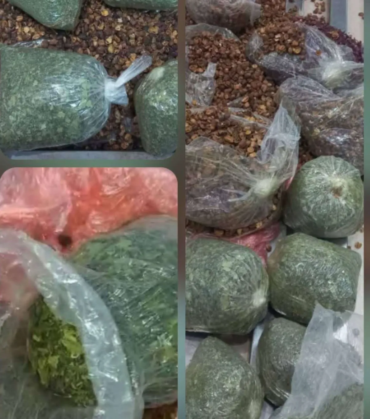  ضبط مسافراً يمنياً في مطار القاهرة حاول تهريب مواد محظورة 