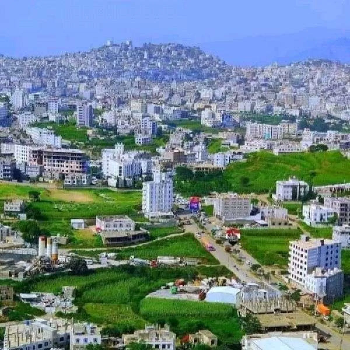 خلاف على عشاء ينتهي بجريمة قتل وشتات أربع أسر