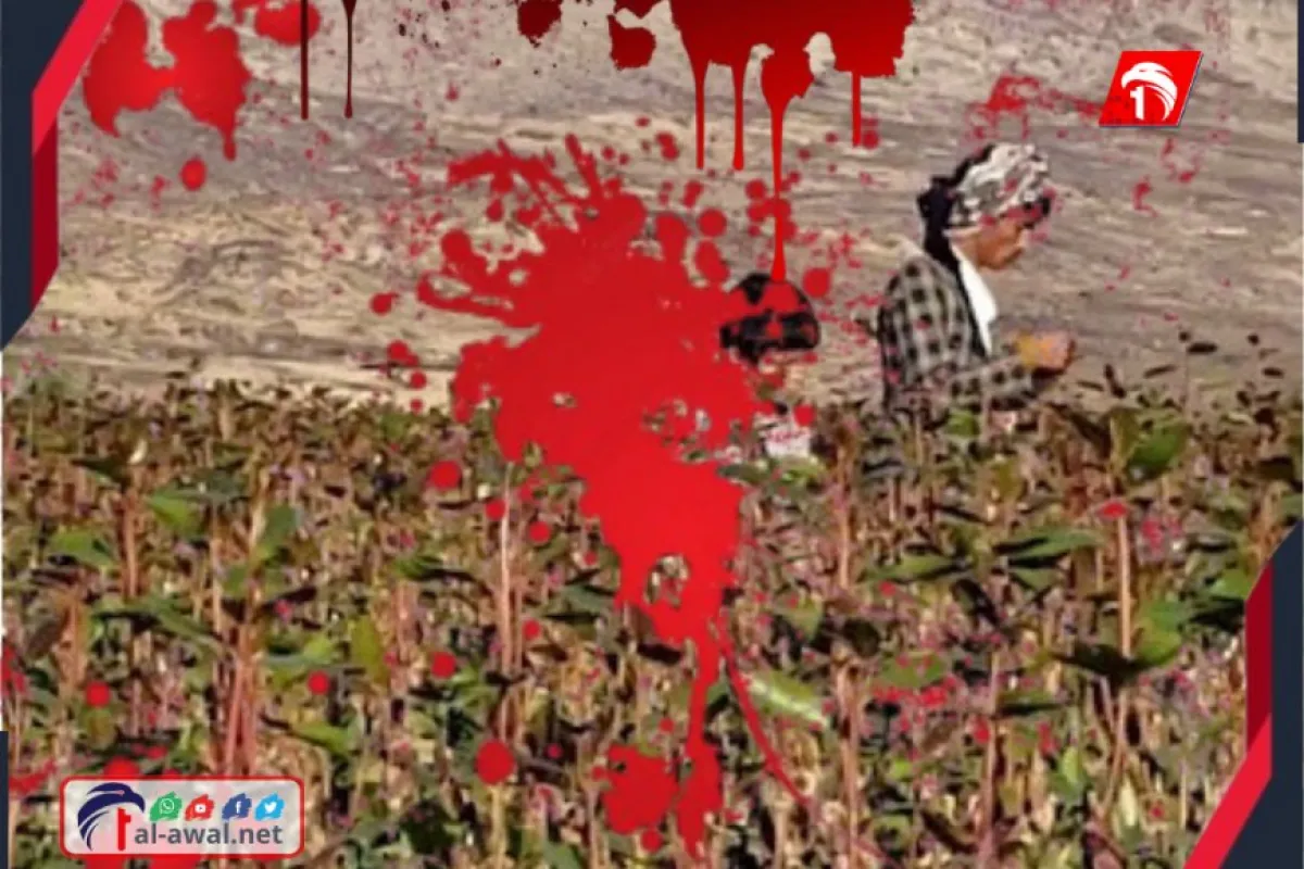 استدرجه للصلح وتقسيم الميراث.. شاب يقتل شقيقه الأكبر و​الداخلية تكشف كواليس (مذبحة) الضالع