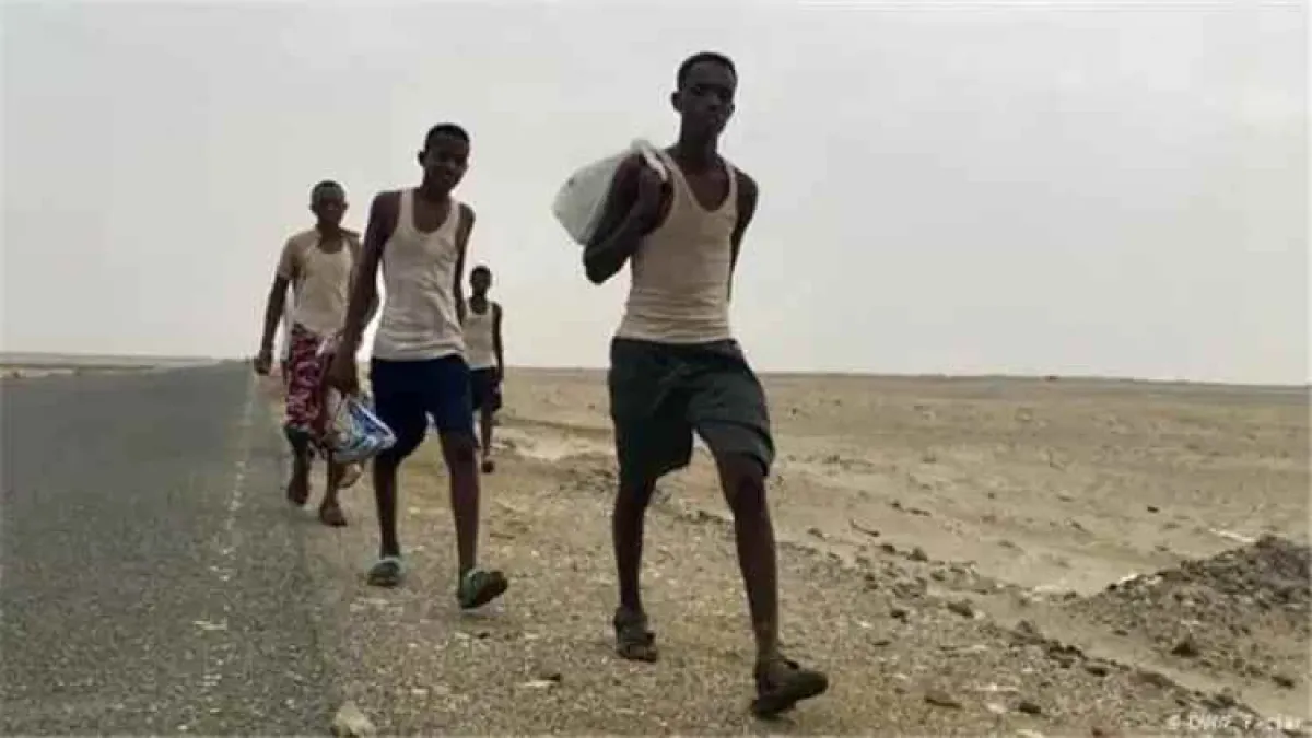 تقرير أممي: أكثر من 14 ألف مهاجر أفريقي وصلوا إلى اليمن خلال أبريل