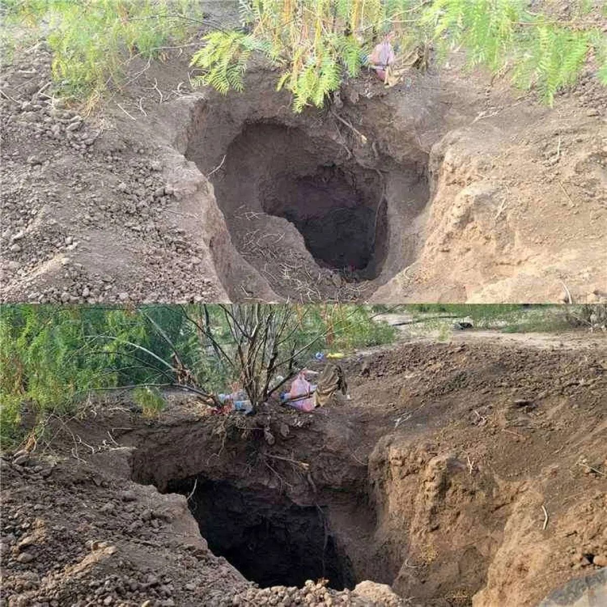 نبش مقبرة في لحج