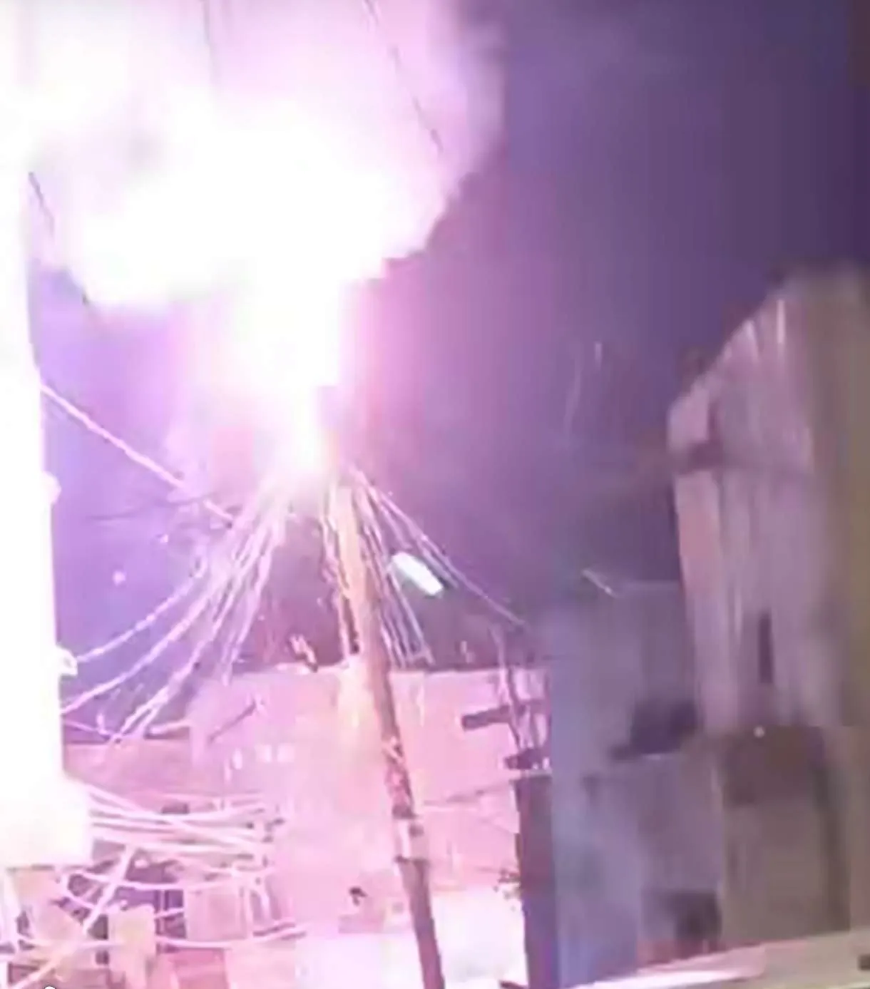 عش غربان يتسبب بحادثة خطيرة في لحج ويثير حالة من القلق