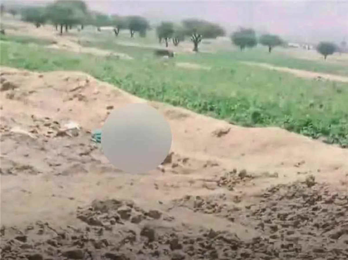 جريمة مروعة تهز عمران