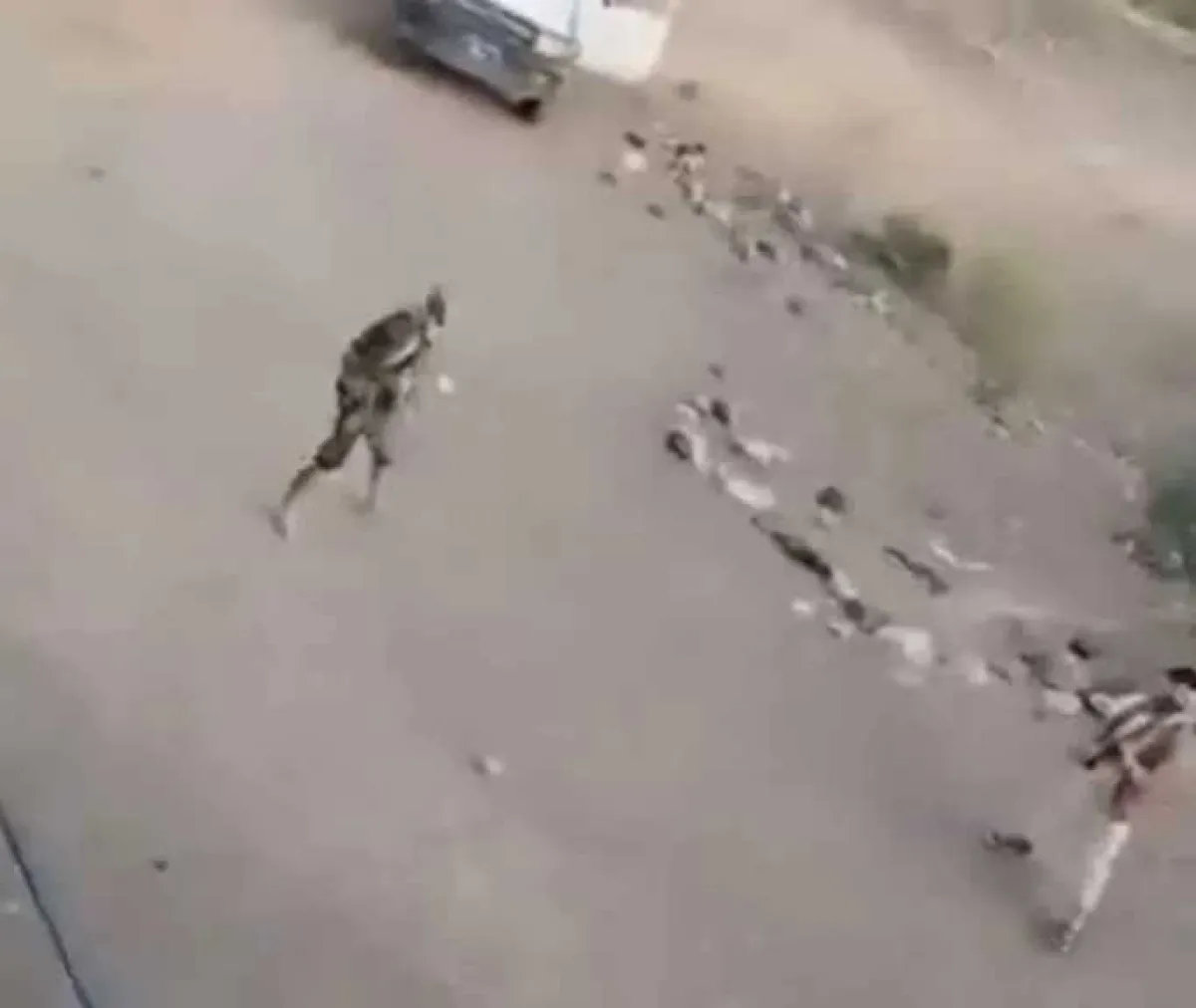 مسلحون حوثيون يقتحمون منزلاً في القفلة وسط إطلاق نار كثيف