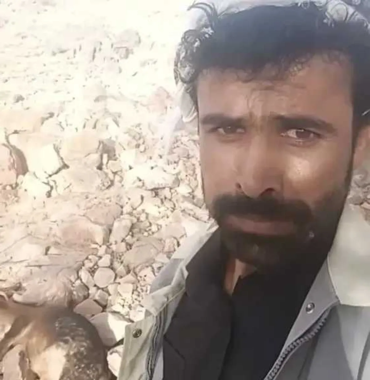 قبل أيام من عيد الأضحى.. شاهد مواطن يشكي من تسميم متعمد لقطيع يضم 20 رأسًا من أغنامه في محافظة شبوة (فيديو