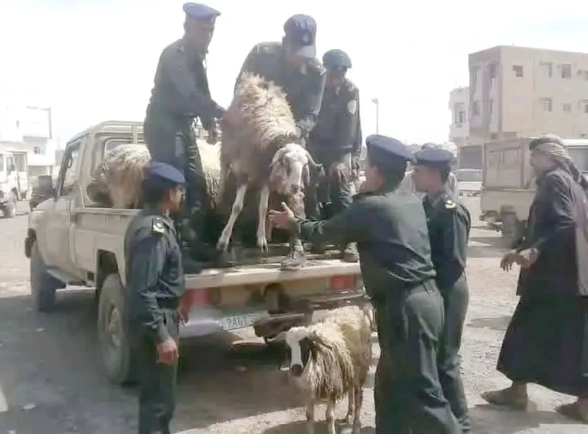 نهب منظم قبيل العيد.. الحوثيون يفرضون جبايات في إل ويصادرون أضاحي الفقراء بعمران