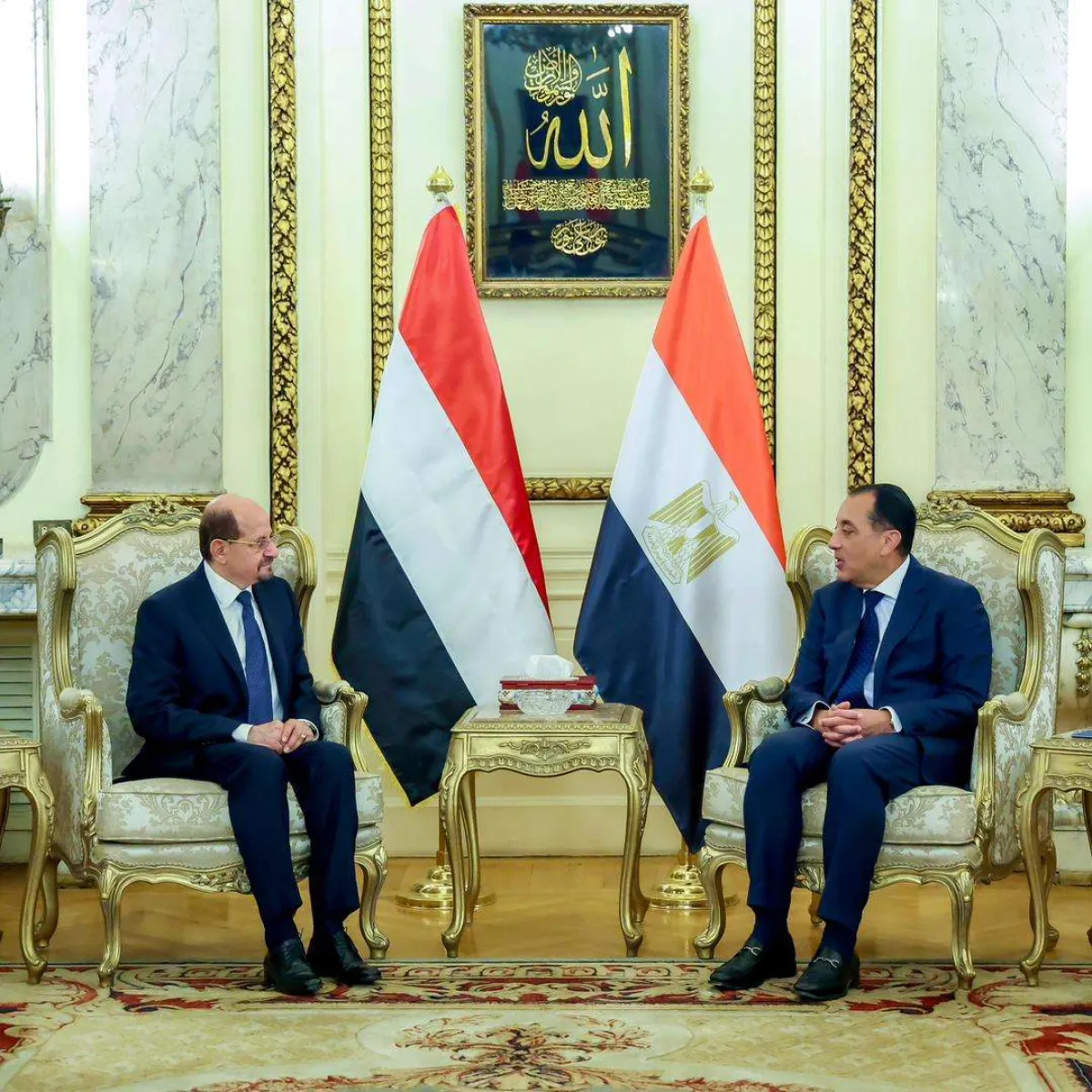 رئيس الوزراء وزير الخارجية يلتقي نظيره المصري
